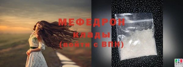 мдпв Туринск