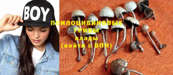 тгк Тутаев
