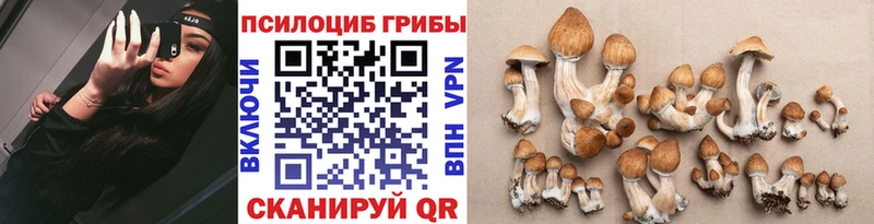 Галлюциногенные грибы мухоморы  OMG как войти  Печоры  хочу наркоту 